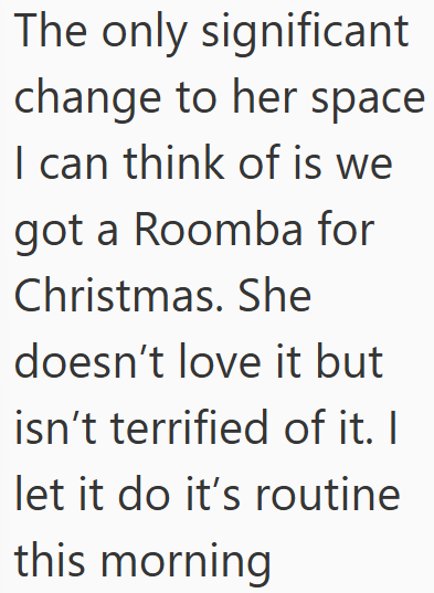 The only significant change to her space I can think of is we got a Roomba for Christmas. She doesn't love it but isn't terrified of it. I let it do it's routine this morning