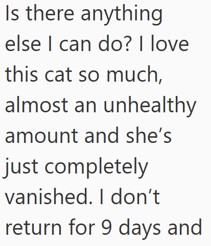 Is there anything else I can do? I love this cat so much, almost an unhealthy amount and she's just completely vanished. I don't return for 9 days and