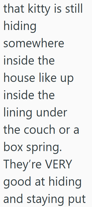 that kitty is still hiding somewhere inside the house like up inside the lining under the couch or a box spring. They're VERY good at hiding and staying put