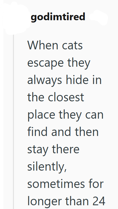 godimtired When cats escape they always hide in the closest place they can find and then stay there silently, sometimes for longer than 24