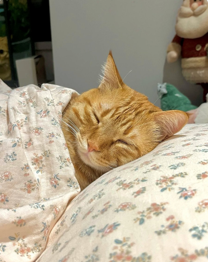 次