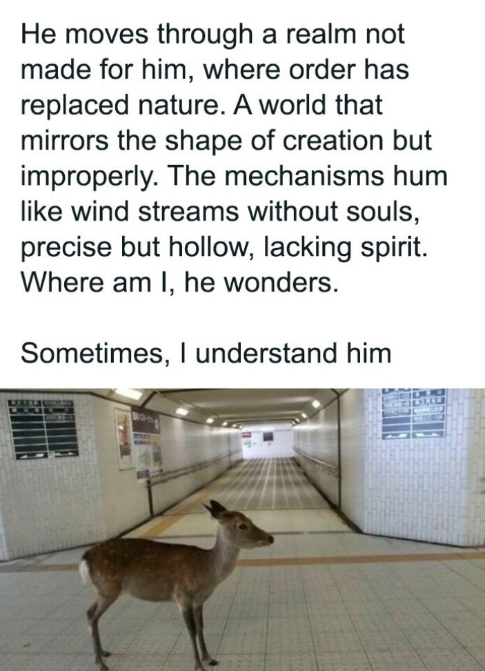 He moves through a realm not made for him, where order has replaced nature. A world that mirrors the shape of creation but improperly. The mechanisms hum like wind streams without souls, precise but hollow, lacking spirit. Where am I, he wonders. Sometimes, I understand him