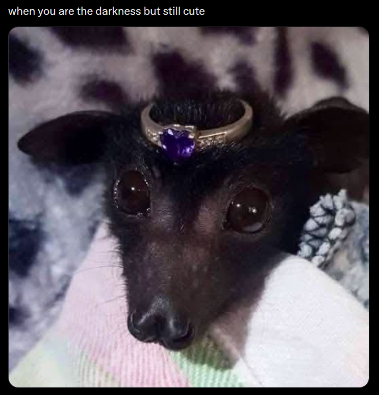 when you are the darkness but still cute