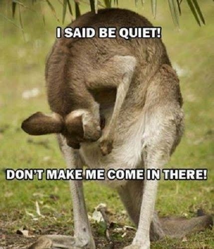 I SAID BE QUIET! DON'T MAKE ME COME IN THERE!