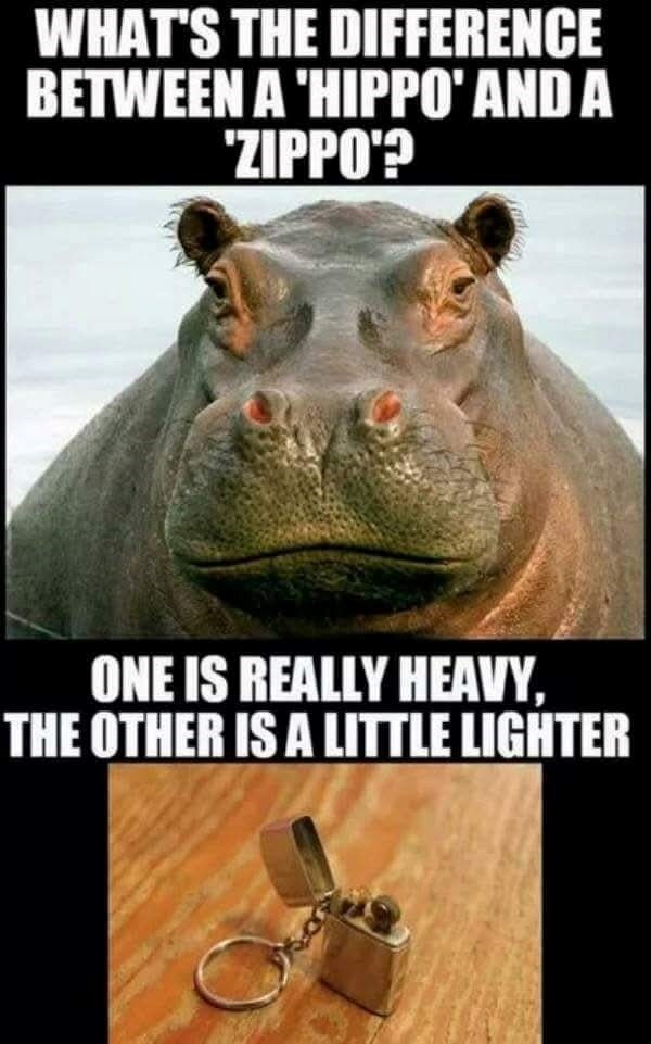 WHAT'S THE DIFFERENCE BETWEEN A 'HIPPO' AND A 'ZIPPO'? ONE IS REALLY HEAVY, THE OTHER IS A LITTLE LIGHTER