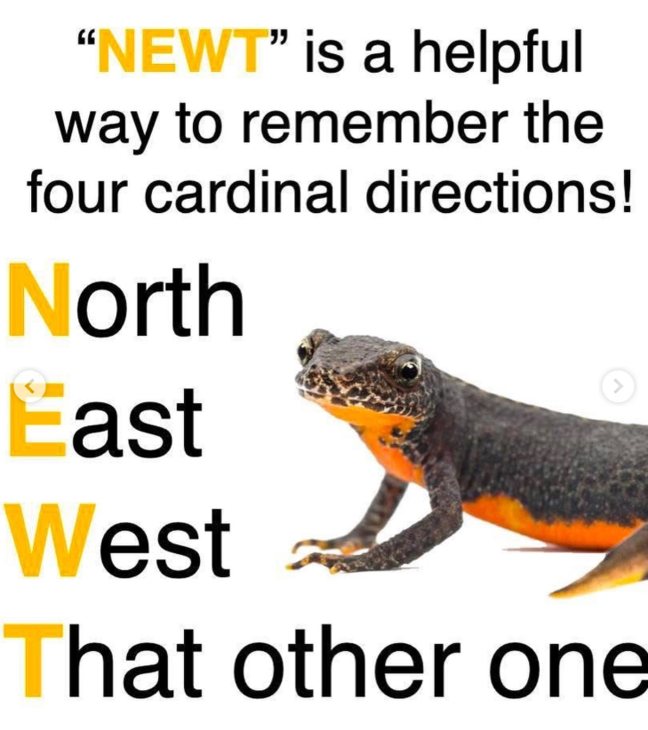 "NEWT" is a helpful way to remember the four cardinal directions! North East > West That other one
