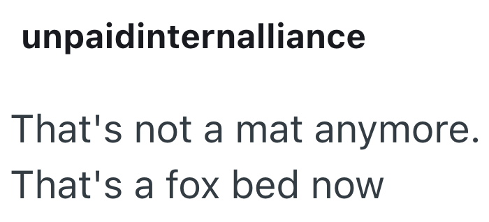 unpaidinternalliance That's not a mat anymore. That's a fox bed now