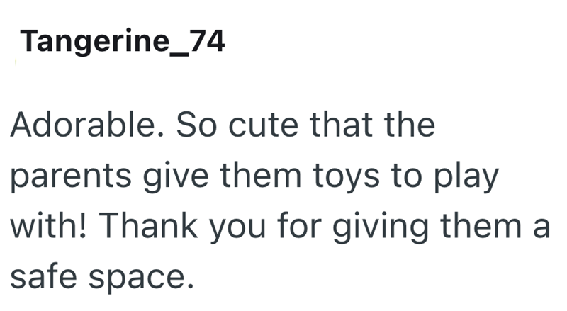 Tangerine_74 Adorable. So cute that the parents give them toys to play with! Thank you for giving them a safe space.