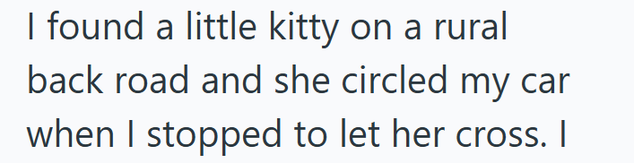 I found a little kitty on a rural back road and she circled my car when I stopped to let her cross. I