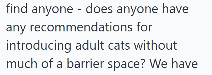 - find anyone does anyone have any recommendations for introducing adult cats without much of a barrier space? We have