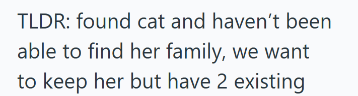 TLDR: found cat and haven't been able to find her family, we want to keep her but have 2 existing