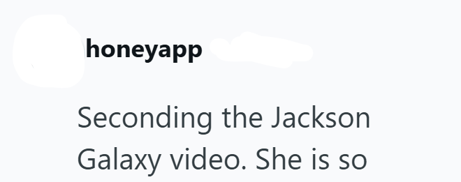 honeyapp Seconding the Jackson Galaxy video. She is so