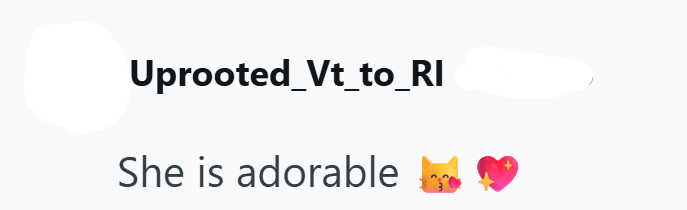 Uprooted_Vt_to_RI She is adorable