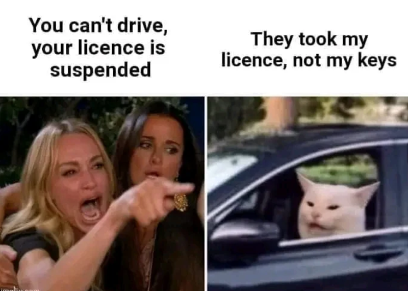 You can't drive, your licence is suspended They took my licence, not my keys