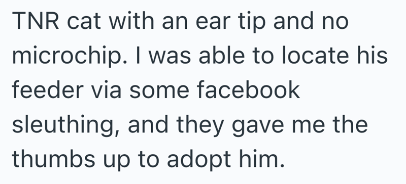 TNR cat with an ear tip and no microchip. I was able to locate his feeder via some facebook sleuthing, and they gave me the thumbs up to adopt him.