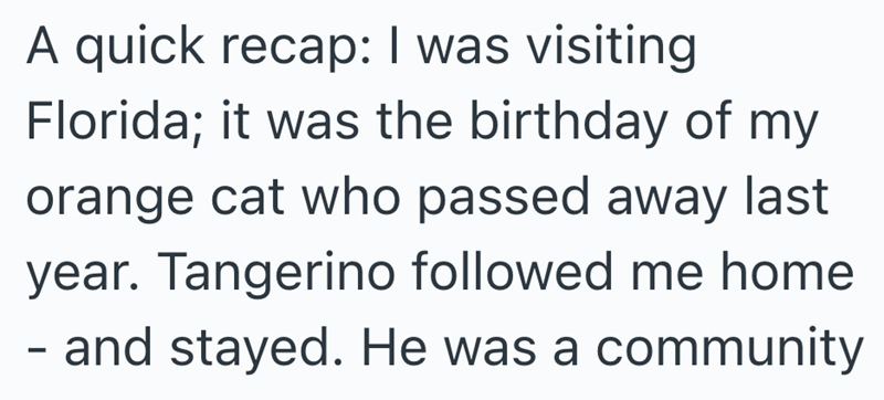 A quick recap: I was visiting Florida; it was the birthday of my orange cat who passed away last year. Tangerino followed me home - and stayed. He was a community