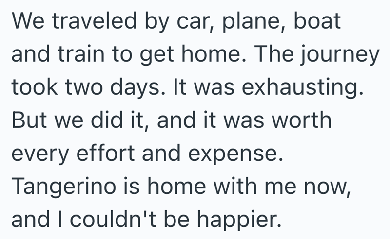 We traveled by car, plane, boat and train to get home. The journey took two days. It was exhausting. But we did it, and it was worth every effort and expense. Tangerino is home with me now, and I couldn't be happier.