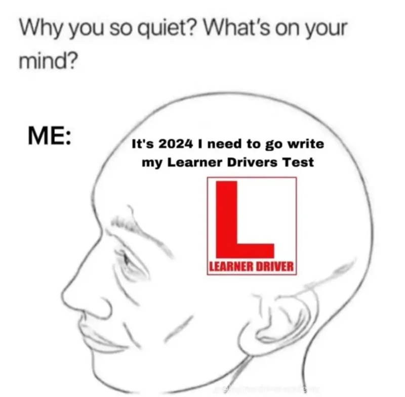 Why you so quiet? What's on your mind? ME: It's 2024 I need to go write my Learner Drivers Test L LEARNER DRIVER