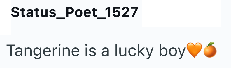 Status_Poet_1527 Tangerine is a lucky boy