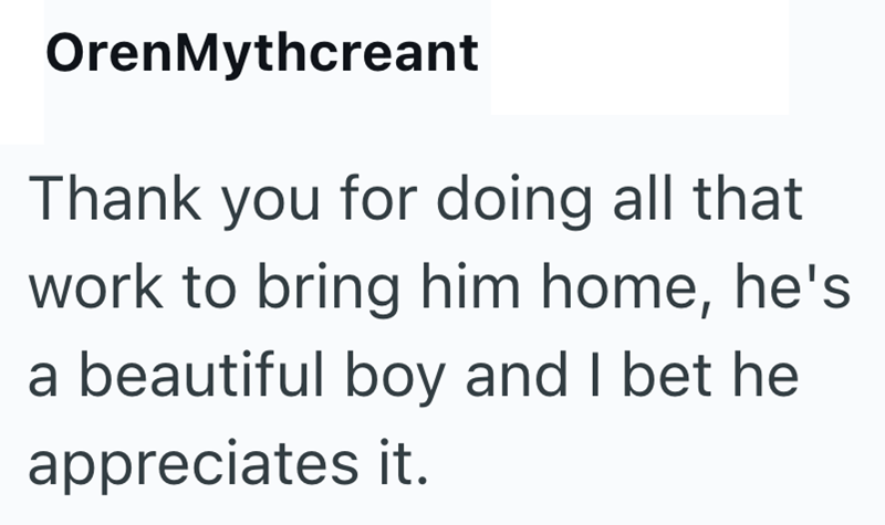 OrenMythcreant Thank you for doing all that work to bring him home, he's a beautiful boy and I bet he appreciates it.