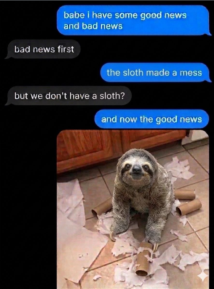 babe i have some good news and bad news bad news first the sloth made a mess but we don't have a sloth? and now the good news