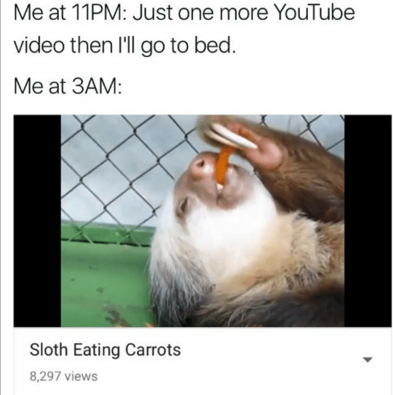 Me at 11PM: Just one more YouTube video then I'll go to bed. Me at 3AM: Sloth Eating Carrots 8,297 views