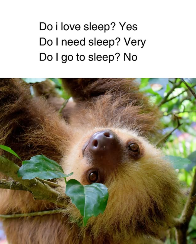 Do i love sleep? Yes Do I need sleep? Very Do I go to sleep? No