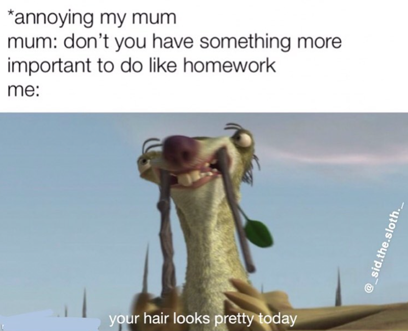 *annoying my mum mum: don't you have something more important to do like homework me: your hair looks pretty today @_sid.the.sloth..