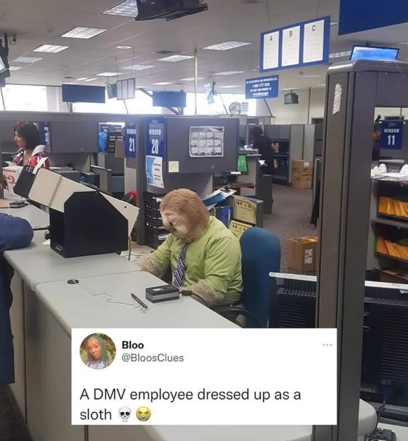 21 20 Bloo @BloosClues A DMV employee dressed up as a sloth B C 11