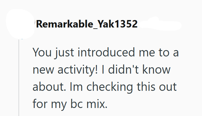 Remarkable_Yak1352 You just introduced me to a new activity! I didn't know about. Im checking this out for my bc mix.