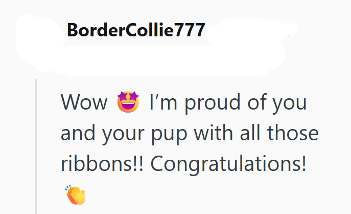 BorderCollie777 Wow I'm proud of you and your pup with all those ribbons!! Congratulations!