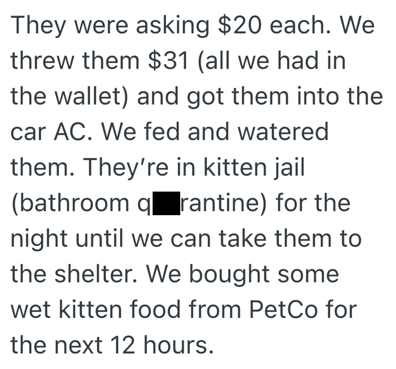 They were asking $20 each. We threw them $31 (all we had in the wallet) and got them into the car AC. We fed and watered them. They're in kitten jail (bathroom qrantine) for the night until we can take them to the shelter. We bought some wet kitten food from PetCo for the next 12 hours.