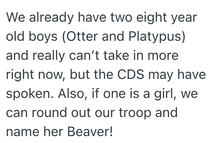 We already have two eight year old boys (Otter and Platypus) and really can't take in more right now, but the CDS may have spoken. Also, if one is a girl, we can round out our troop and name her Beaver!