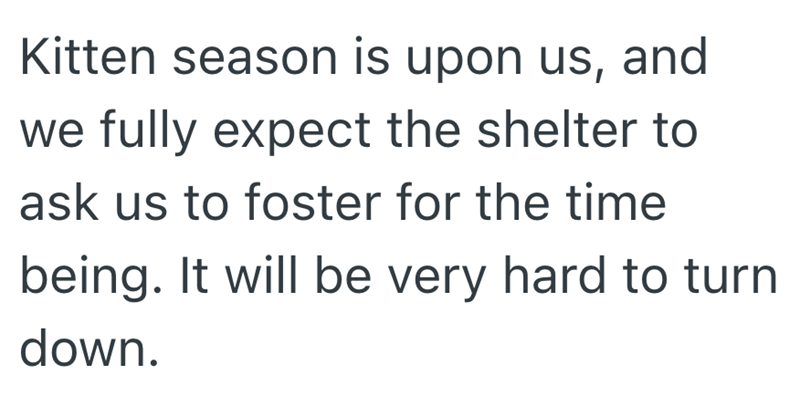 Kitten season is upon us, and we fully expect the shelter to ask us to foster for the time being. It will be very hard to turn down.