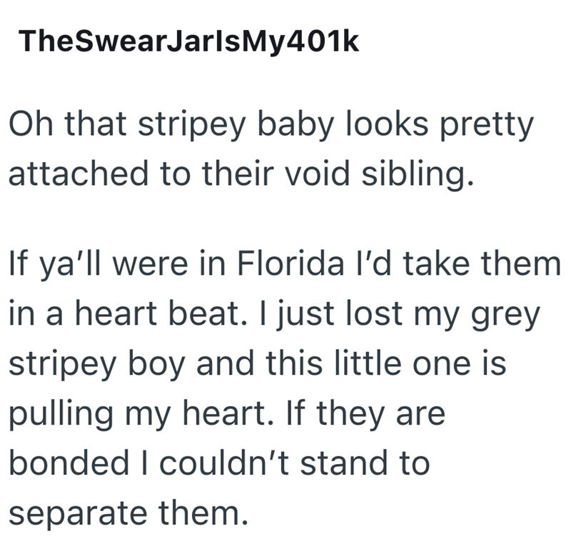 TheSwearJarlsMy401k Oh that stripey baby looks pretty attached to their void sibling. If ya'll were in Florida I'd take them in a heart beat. I just lost my grey stripey boy and this little one is pulling my heart. If they are bonded I couldn't stand to separate them.