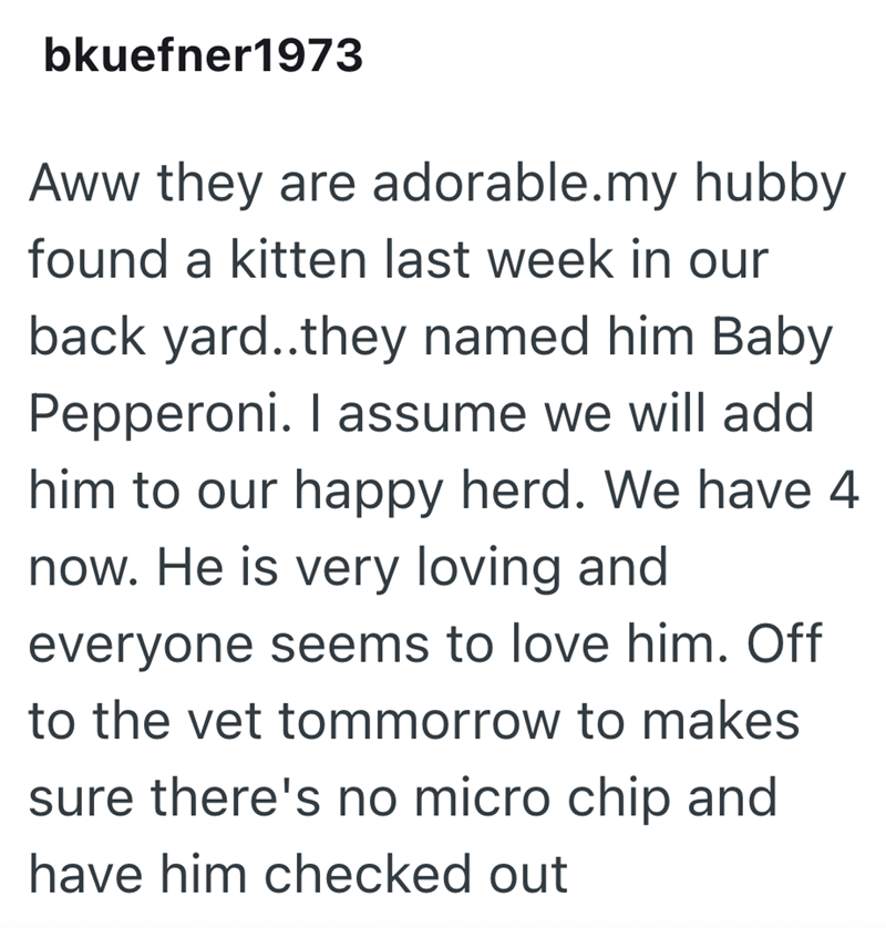 bkuefner1973 Aww they are adorable.my hubby found a kitten last week in our back yard..they named him Baby Pepperoni. I assume we will add him to our happy herd. We have 4 now. He is very loving and everyone seems to love him. Off to the vet tommorrow to makes sure there's no micro chip and have him checked out