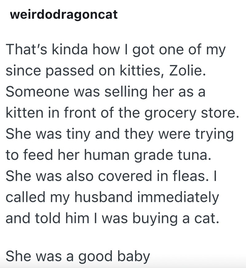 weirdodragoncat That's kinda how I got one of my since passed on kitties, Zolie. Someone was selling her as a kitten in front of the grocery store. She was tiny and they were trying to feed her human grade tuna. She was also covered in fleas. I called my husband immediately and told him I was buying a cat. She was a good baby