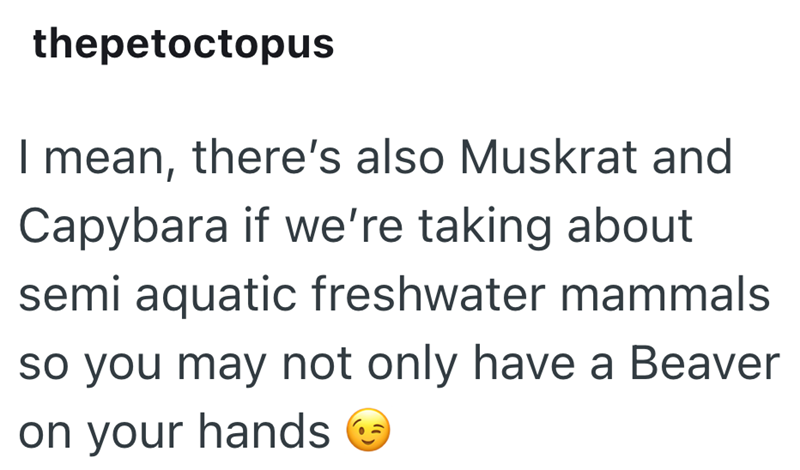 thepetoctopus I mean, there's also Muskrat and Capybara if we're taking about semi aquatic freshwater mammals so you may not only have a Beaver on your hands
