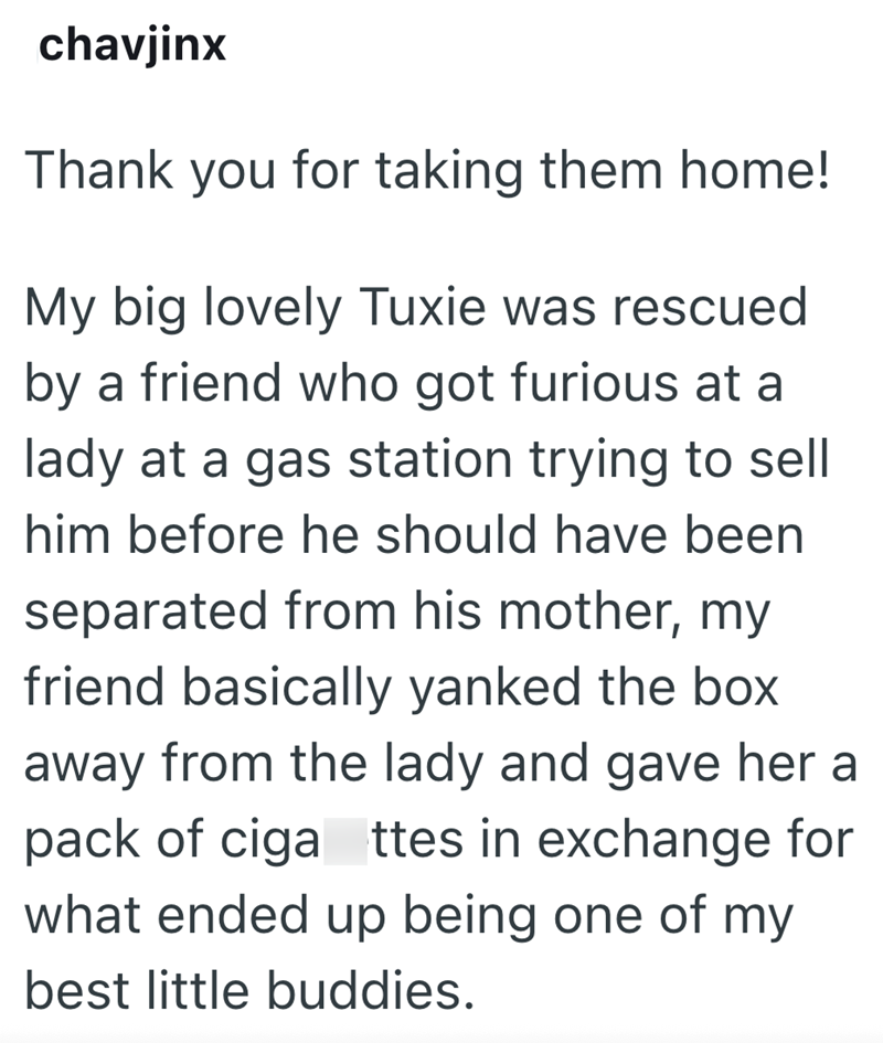 chavjinx Thank you for taking them home! My big lovely Tuxie was rescued by a friend who got furious at a lady at a gas station trying to sell him before he should have been separated from his mother, my friend basically yanked the box away from the lady and gave her a pack of ciga ttes in exchange for what ended up being one of my best little buddies.
