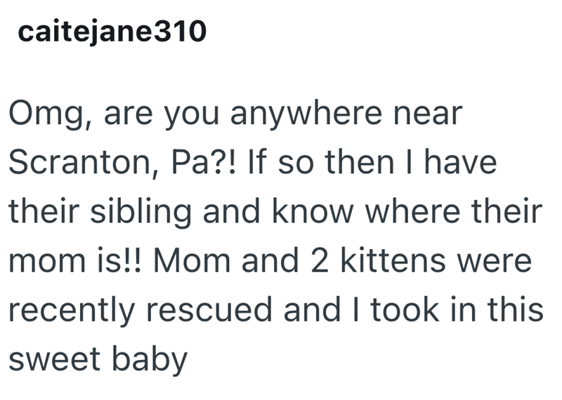 caitejane310 Omg, are you anywhere near Scranton, Pa?! If so then I have their sibling and know where their mom is!! Mom and 2 kittens were recently rescued and I took in this sweet baby