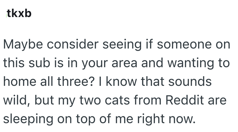 tkxb Maybe consider seeing if someone on this sub is in your area and wanting to home all three? I know that sounds wild, but my two cats from Reddit are sleeping on top of me right now.