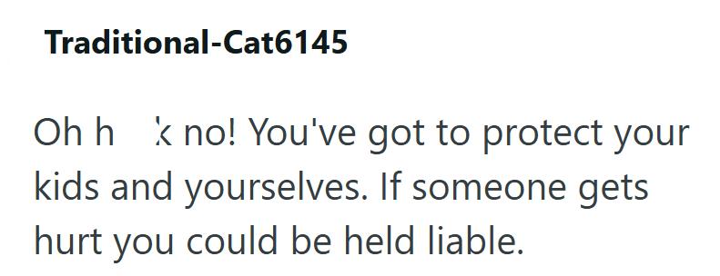 Traditional-Cat6145 Oh hk no! You've got to protect your kids and yourselves. If someone gets hurt you could be held liable.