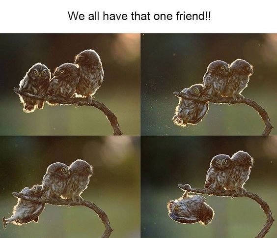 We all have that one friend!!