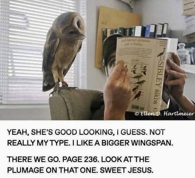 SIBLEY BIRDS K Ellen D. Hartlmeier YEAH, SHE'S GOOD LOOKING, I GUESS. NOT REALLY MY TYPE. I LIKE A BIGGER WINGSPAN. THERE WE GO. PAGE 236. LOOK AT THE PLUMAGE ON THAT ONE. SWEET JESUS.