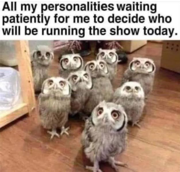 All my personalities waiting patiently for me to decide who will be running the show today.