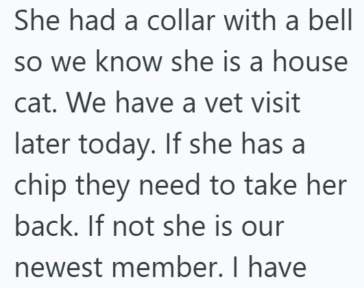 She had a collar with a bell so we know she is a house. cat. We have a vet visit later today. If she has a chip they need to take her back. If not she is our newest member. I have