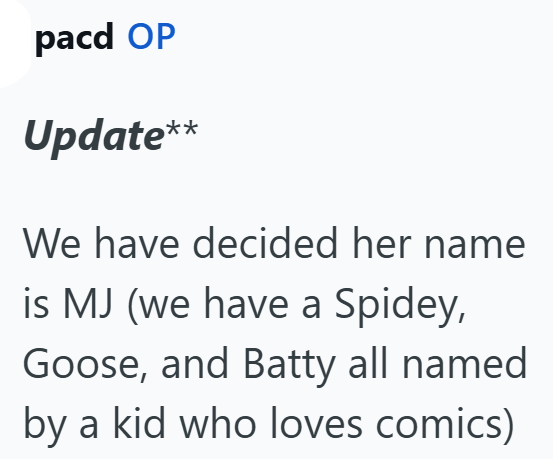 pacd OP Update** We have decided her name is MJ (we have a Spidey, Goose, and Batty all named by a kid who loves comics)