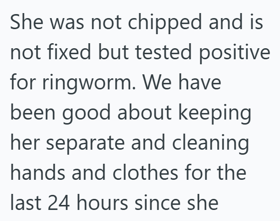 She was not chipped and is not fixed but tested positive for ringworm. We have been good about keeping her separate and cleaning hands and clothes for the last 24 hours since she