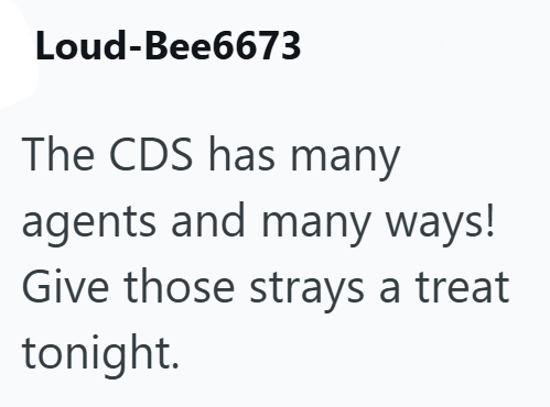 Loud-Bee6673 The CDS has many agents and many ways! Give those strays a treat tonight.