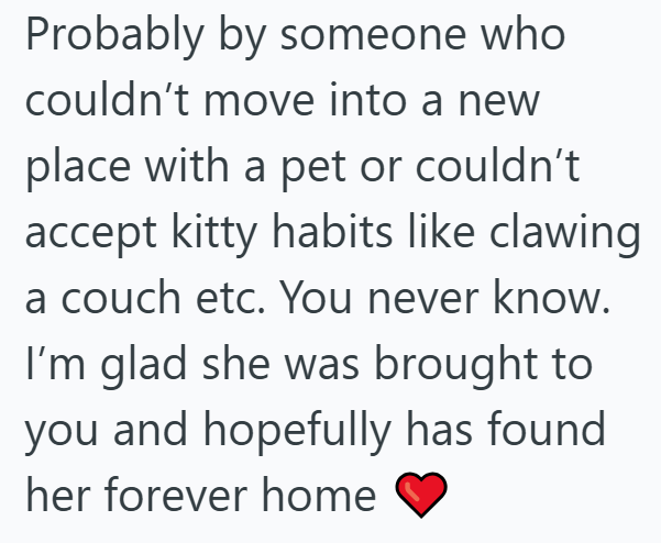Probably by someone who couldn't move into a new place with a pet or couldn't accept kitty habits like clawing. a couch etc. You never know. I'm glad she was brought to you and hopefully has found her forever home
